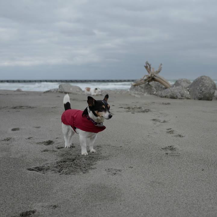 2cdf25dd ea1d 4baf b785 c05cf92aad7d 1520657011719