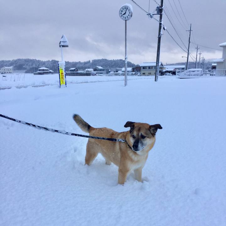 2cdf49ba aee2 4e76 8a24 9b3bcccd41ed 1548547060646