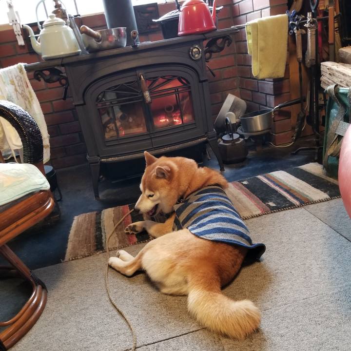 2cdf68fd a957 4d75 aa84 b7cbbe28982e 1610749990920