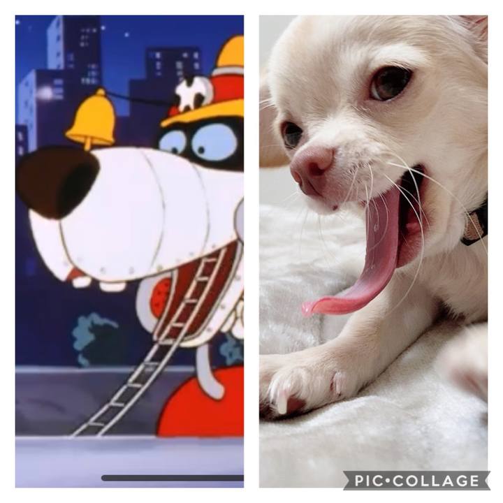 2cdf9ed3 dc7d 4083 95f1 f90a68dcbd18 1603879102821