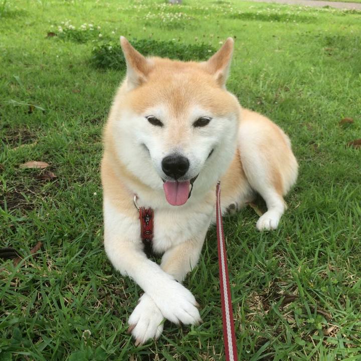 2cdfb688 ff22 4245 bd57 fbe4a84ffb64 1540695353513