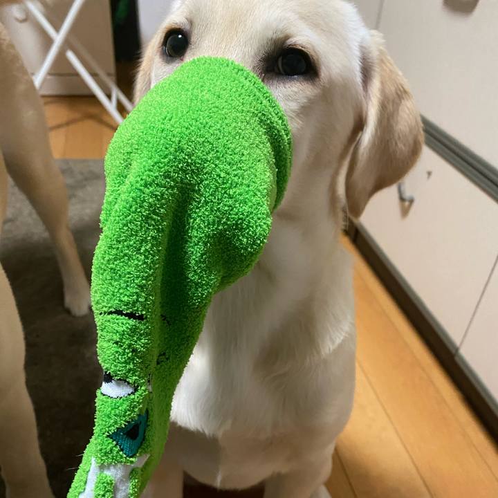 2cdff37b 845f 427f 8780 723d0d9e6761 1615075974357