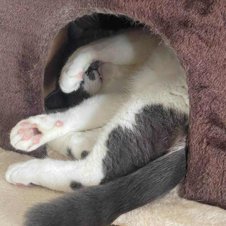 2ce00626 cc37 4d89 b9bc 3877d81bbda2 1755058021997