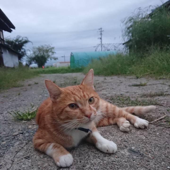 2ce042c0 d47c 42f5 abdd a8ec5aced458 1600418965968