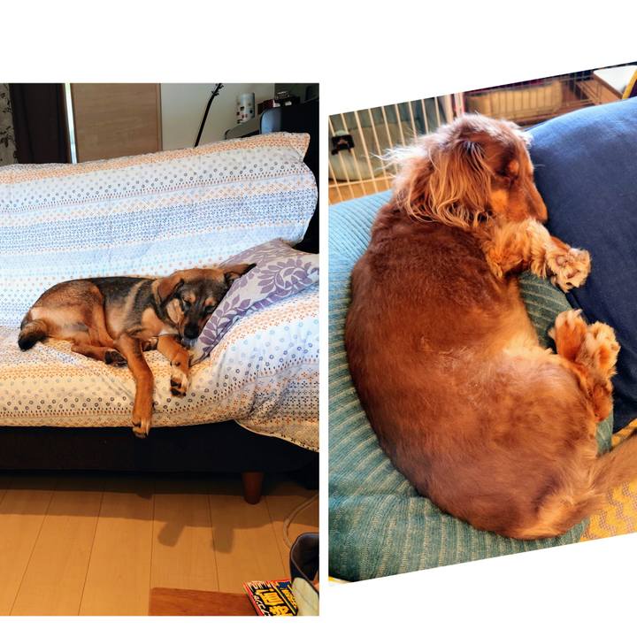 2ce043a7 0490 475c a268 78e790e037e5 1688284377013