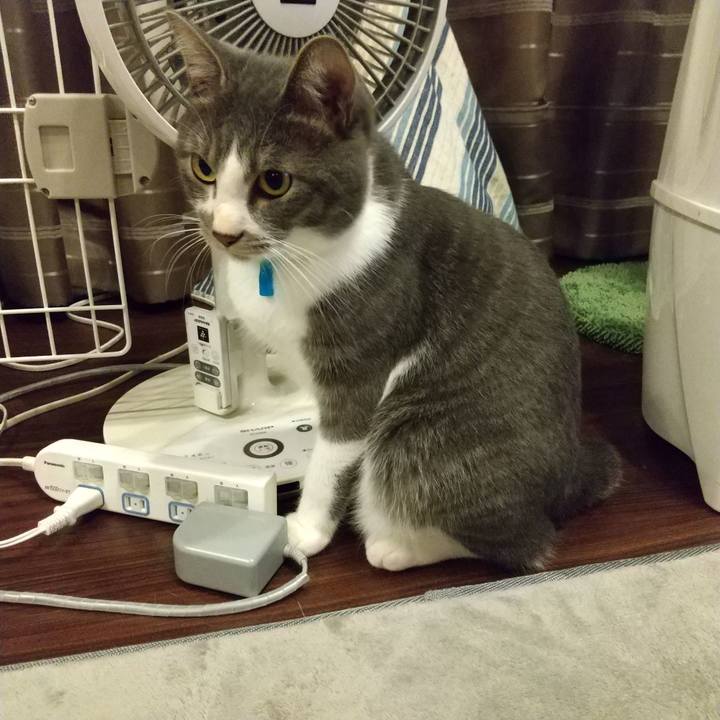 2ce0443c a6c4 49e4 970e dac74dbd16f9 1602857013521