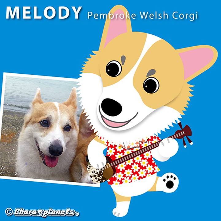 2ce0701b bb26 45d3 ad33 788ceceb7855 1555897727378