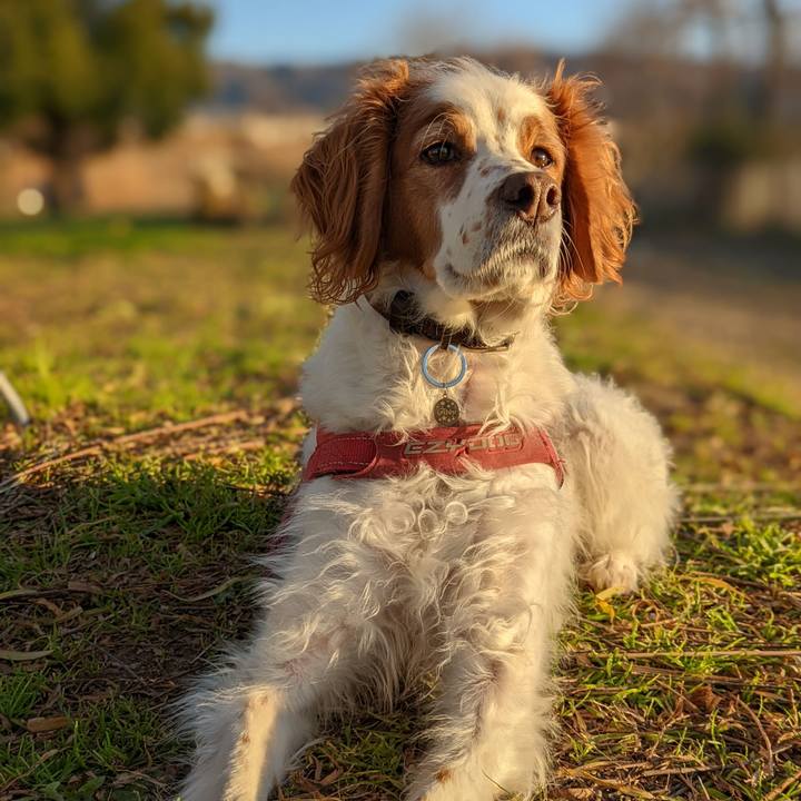 2ce075ad 5379 46dd 9692 319fe6f43839 1640691858247