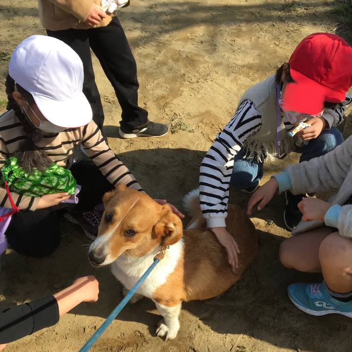 2ce07ebc d427 4b07 8e51 03daa9d8b3a6 1616028753687