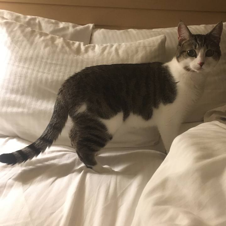 2ce0bd39 ff2c 4e5d 8744 2059536d3440 1633822869213