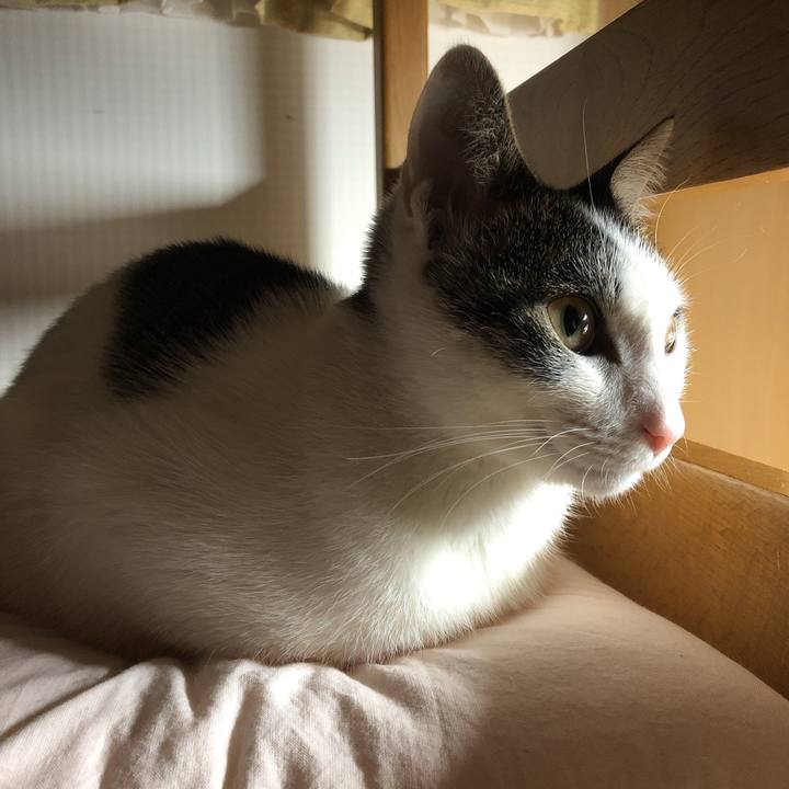 2ce0e62e 4db8 4d99 a5b9 588d17abe70e 1582321110741