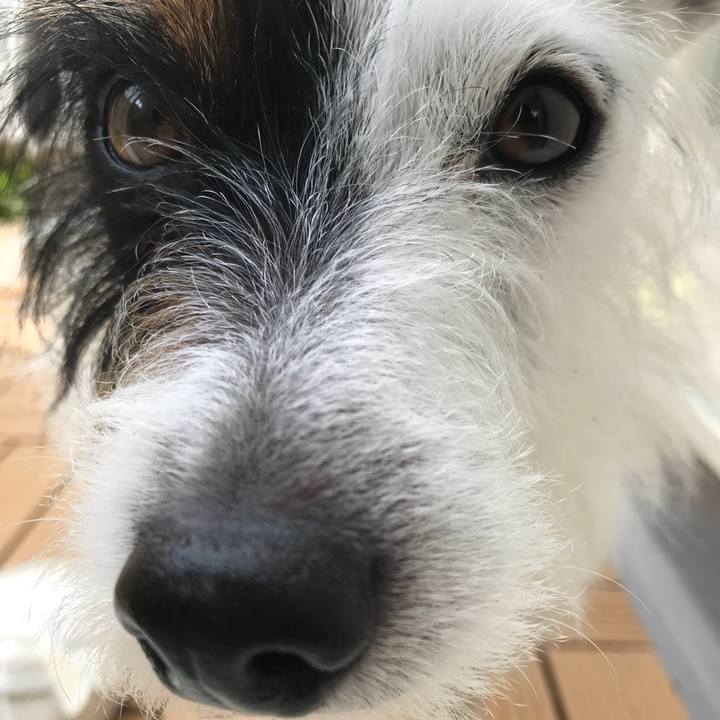 2ce0e977 c732 4821 bc05 f566a7094cdf 1522377422118