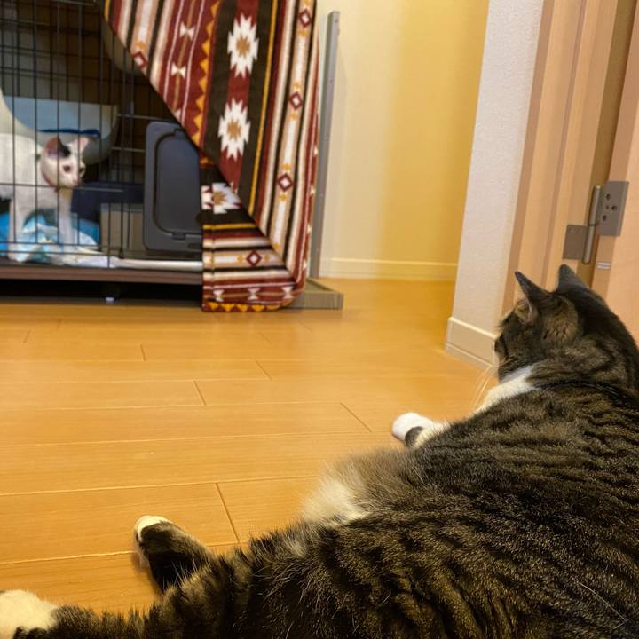 2ce0f173 6134 4b8b 8832 cb5aaf57e8b9 1663905203811