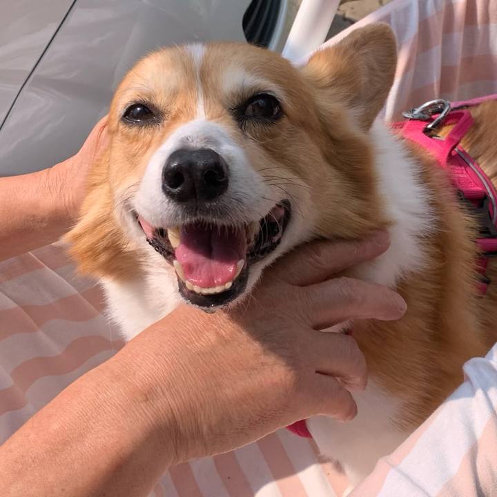 2ce0fc6b 3521 4cce 85e6 72519524d571 1714636396700