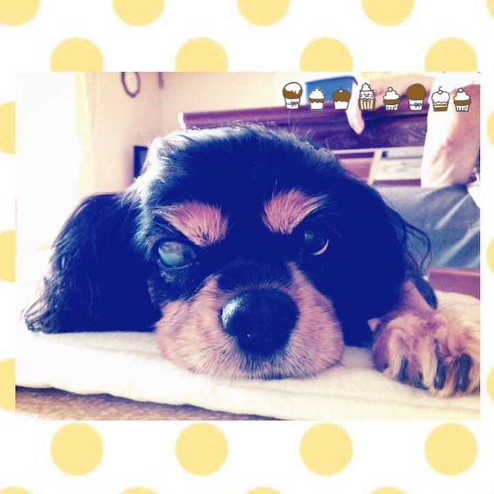 2ce10a27 bc76 4c86 99b6 60e1e35c99ab 1508765577660