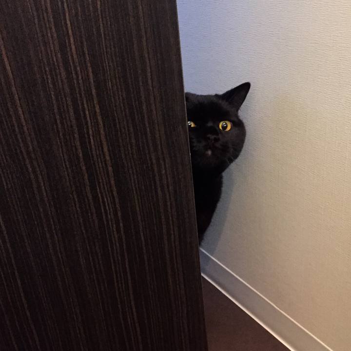 2ce15f5a 6a63 472c bec2 75141280e446 1547092962768