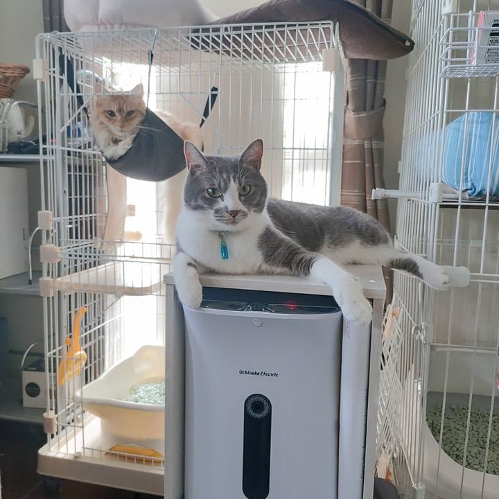 2ce16042 9d2b 4a0f 8dff bea7e36c8892 1656754636729