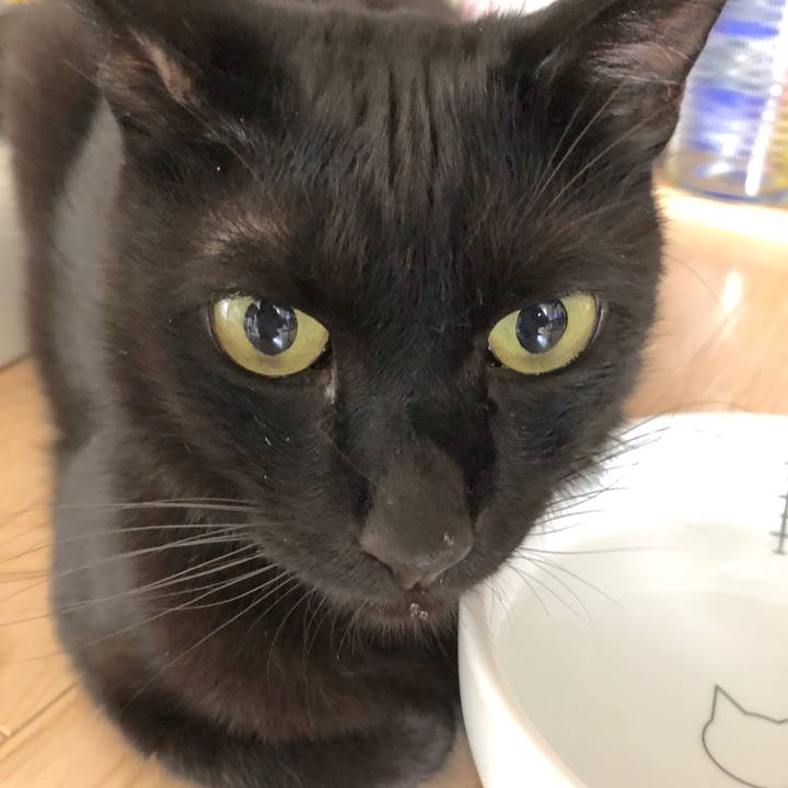 2ce167b3 c839 45e5 ae62 d342ecc7f3c1 1530926001934