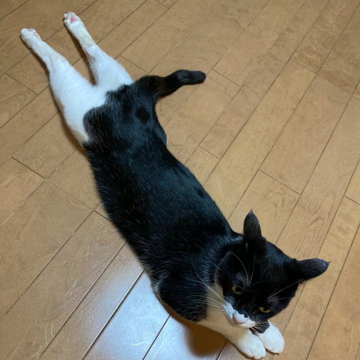 2ce16d37 363c 4d10 8710 9f8c41f3f0de 1684757517468