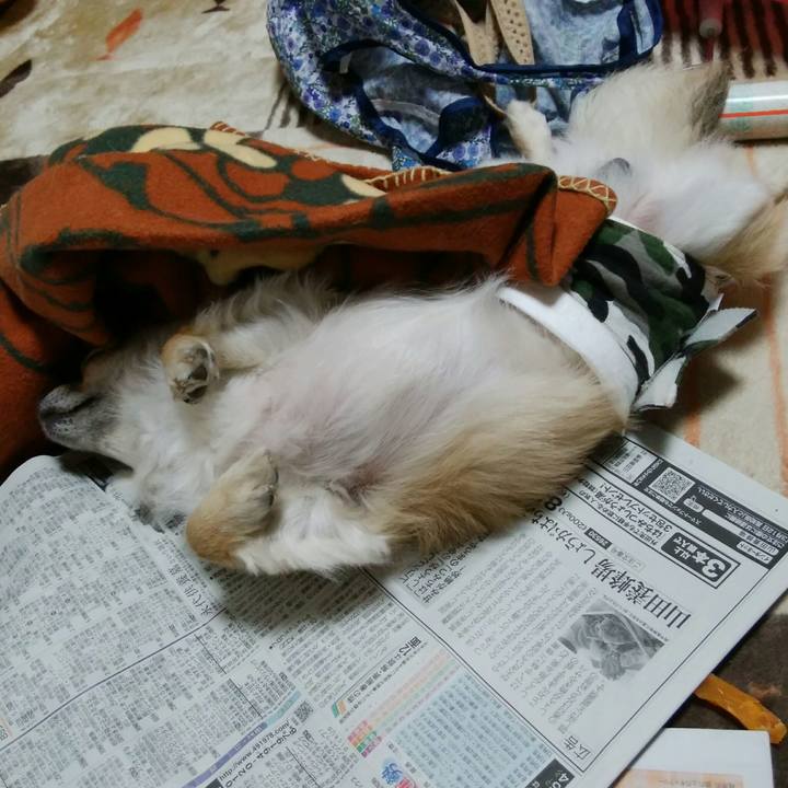 2ce18f21 a923 4649 8d30 6dacad40c0e1 1520850682081