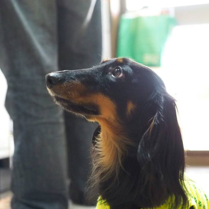 2ce19036 3808 4f29 9e5a f3bc341df7e7 1525318257263