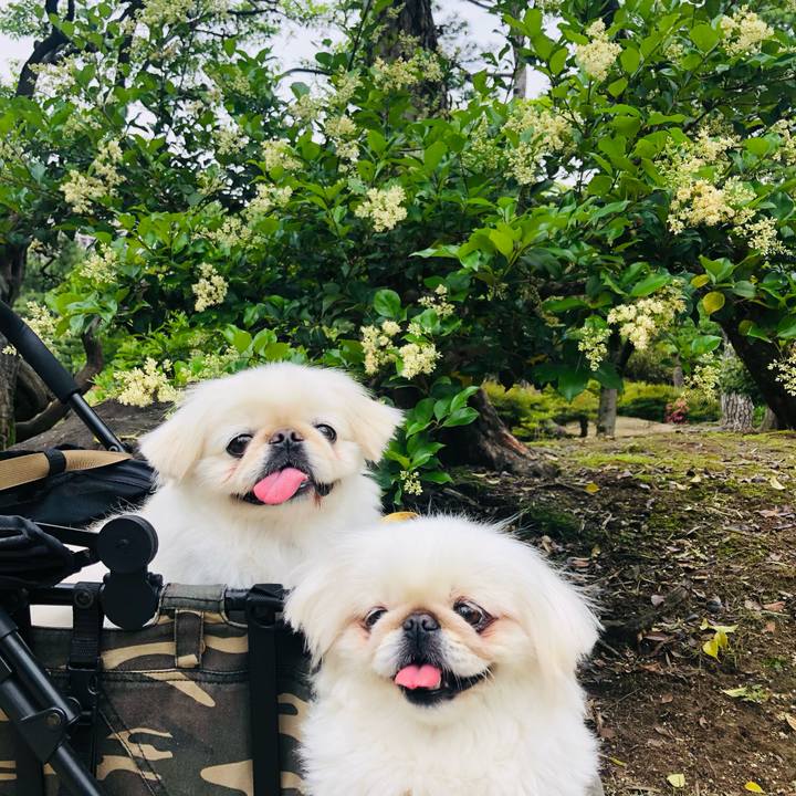 2ce19793 44b4 42b8 a55a 34d08218f71c 1621725154508