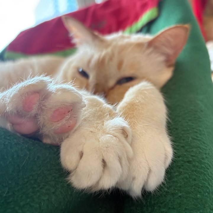 2ce19d9a e161 46cb 9e7c cc4b6e654aec 1764197768110