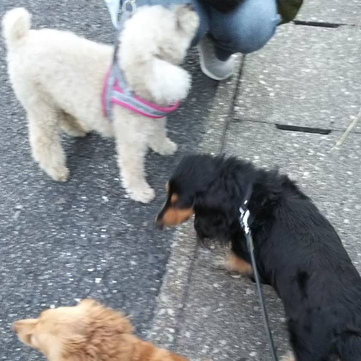 2ce1c34e 3078 4571 af54 b514e71b8e27 1607690228888