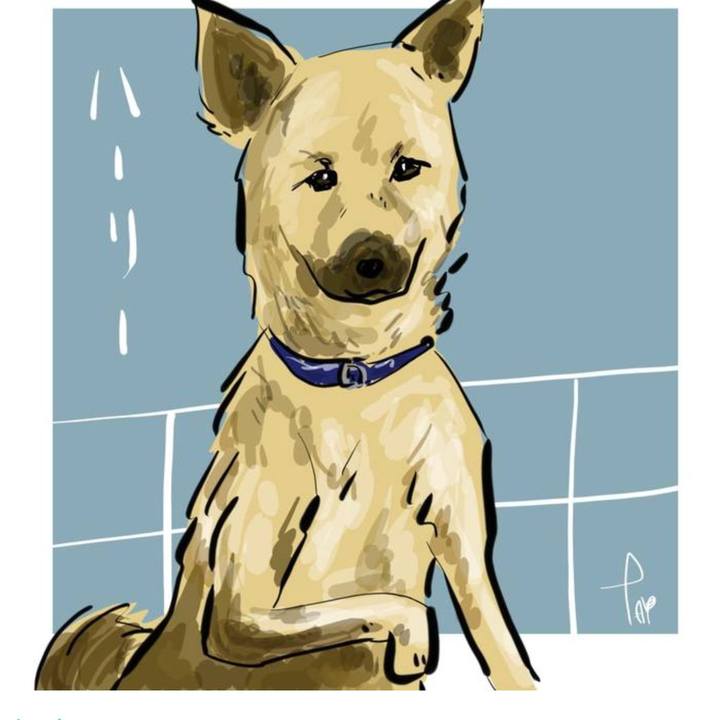 2ce1e5e1 8035 4551 acbc 35d433dc81bb 1737250109492