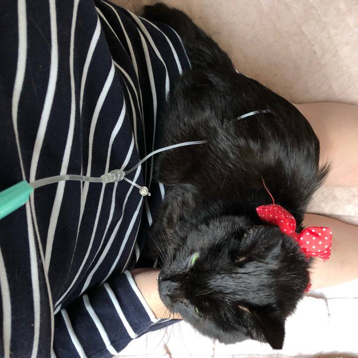 2ce20159 0bef 4c5f 86e4 705257796b60 1556658457311