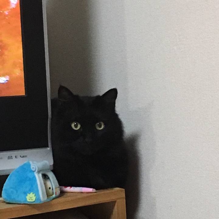 2ce20400 b906 4ec2 b863 fe815c9d84dc 1528559893414