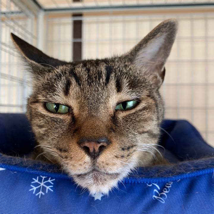 2ce22502 3935 49f9 a946 e8a2d437348e 1569203194941