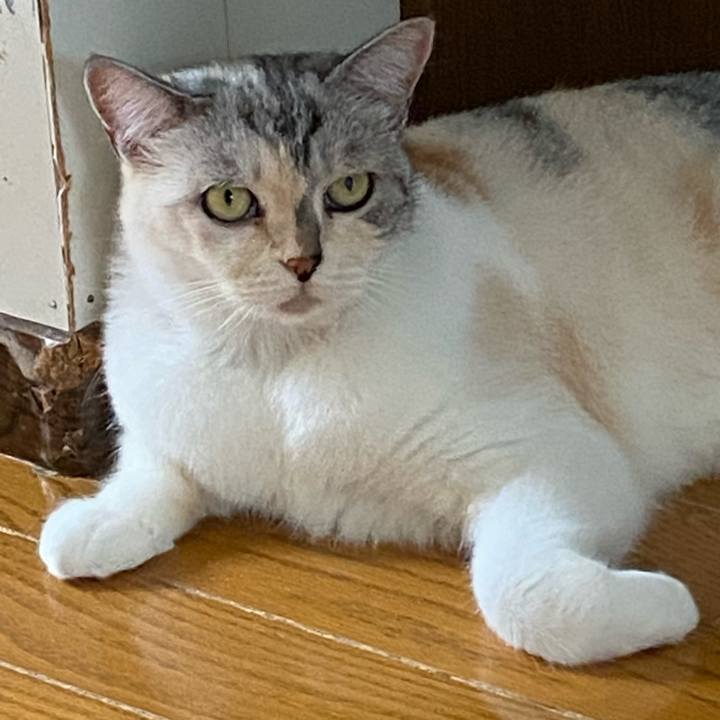 2ce27fb4 194a 4d7b 83f9 ffd8008b0a8e 1630915898012