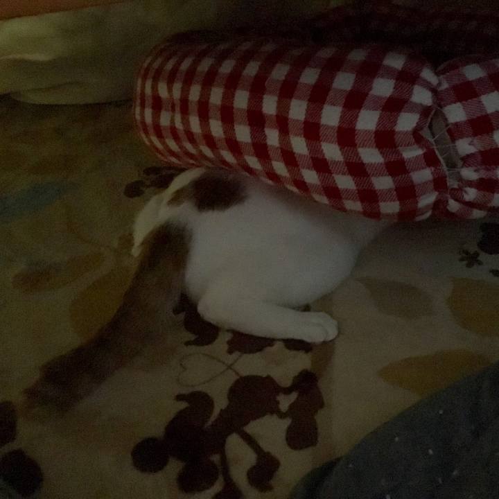 2ce28440 f15c 4422 8130 e6ffca63797c 1523195212833