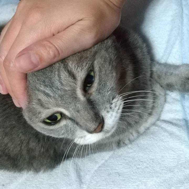 2ce29d46 a195 4238 8a33 4d8d0cd3aa1a 1664291189493