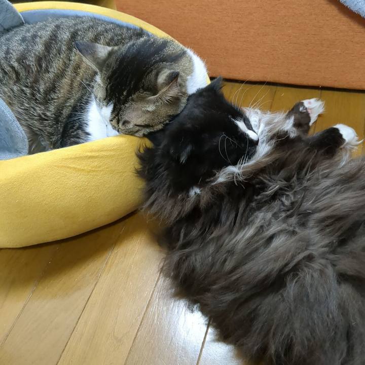 2ce2a9ef 2de4 474b 9330 c33575789bac 1671697298550