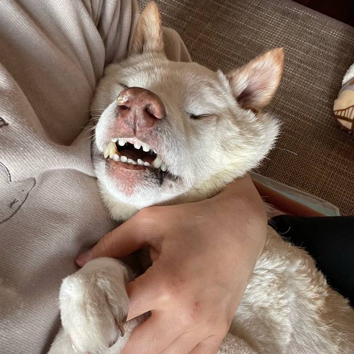 2ce2aa9f 3e3e 4140 8656 e9d838e76351 1673133298508