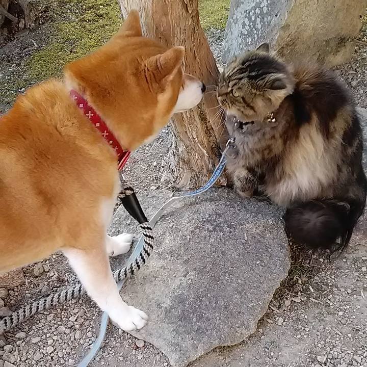 2ce2fd91 3fe0 4ece 9dbd 097cbd68d6af 1678234156687