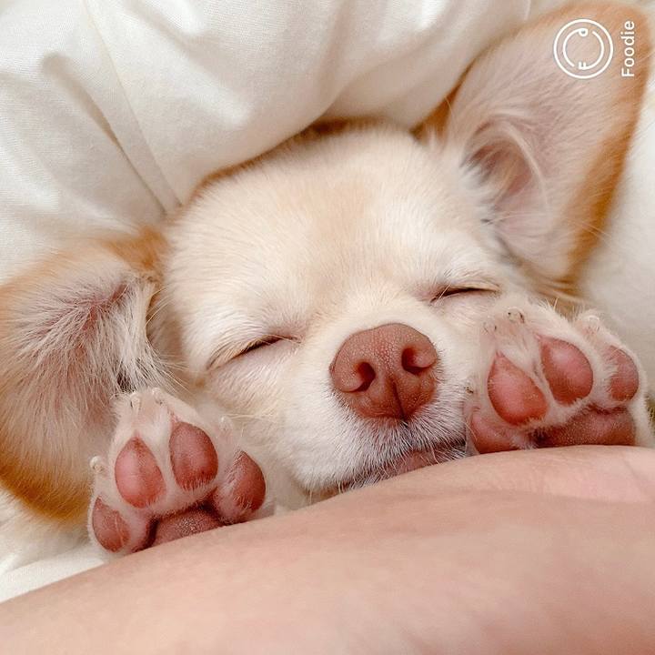 2ce3479a 3830 4835 b9f2 63a37b7c4314 1604540629124