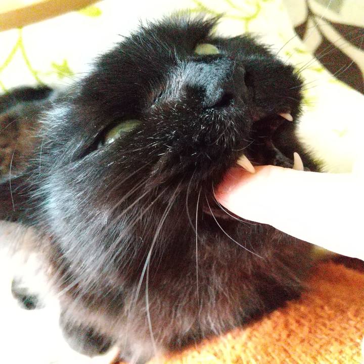 2ce351ed d95f 43b0 b383 6ab3934916b8 1587446868135