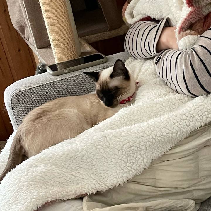 2ce3820b 4539 4cdb a47a 7d15f9818b89 1705815155945