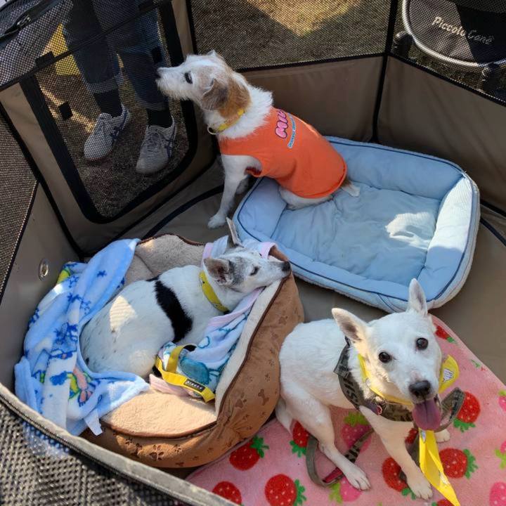 2ce3a23d 9a74 4d9a b8be d565943fde9c 1763854802924