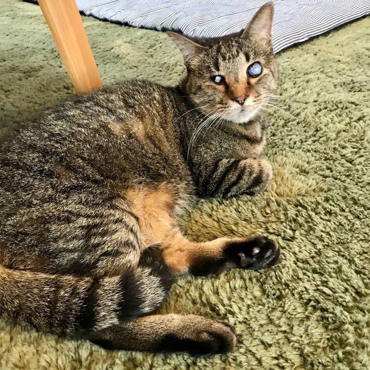 2ce3d156 1538 4ef1 86a6 3eeca469627f 1621948489439