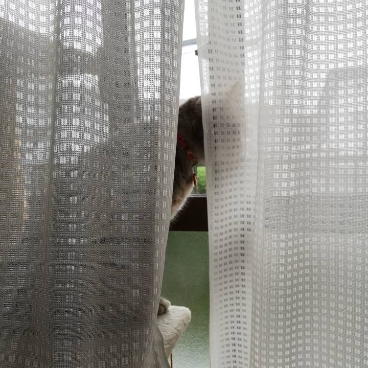 2ce48269 96ae 4553 afcc bdea53e177ef 1562988635360