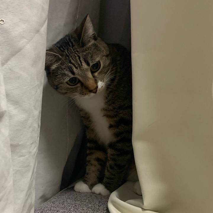 2ce49ca5 3bc8 4eaf bd87 c3dc52f3f6c1 1570669578614