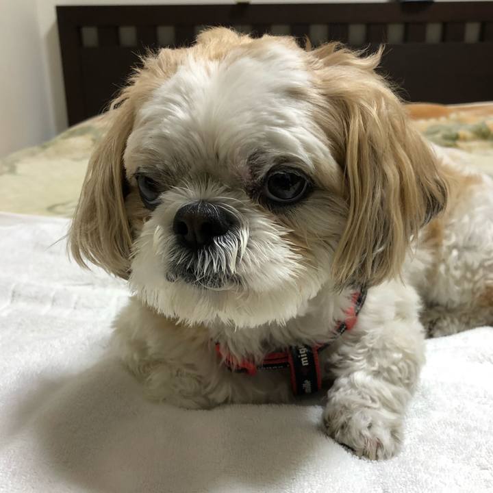 2ce4dce3 aa74 4b16 9433 cbca3adb02a2 1561155469936