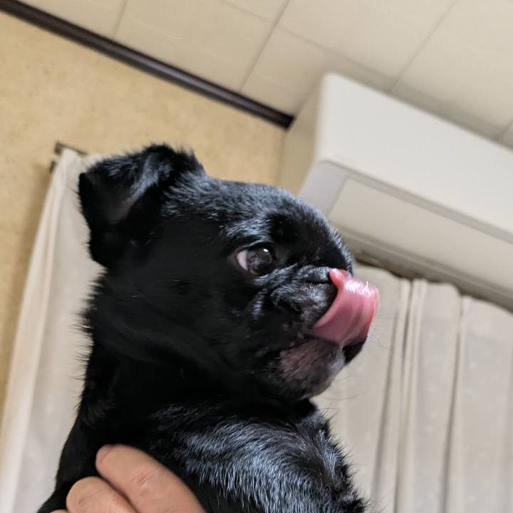 2ce4ee80 386c 4b82 830a 190955db4fbf 1768655254479