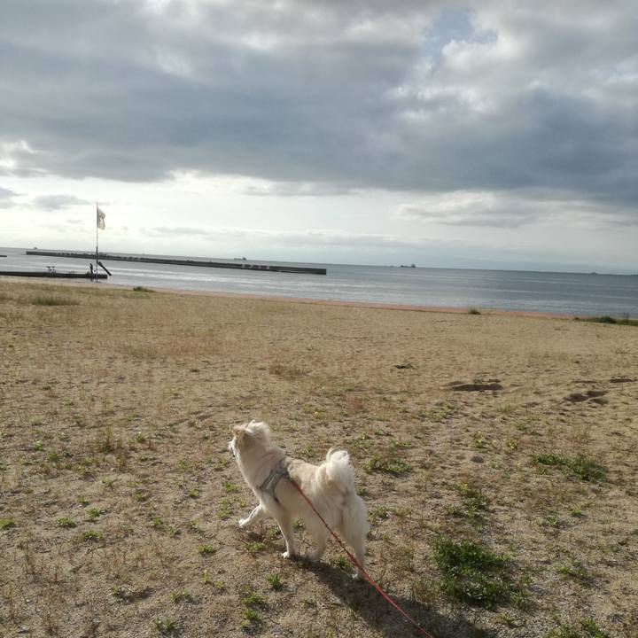 2ce4f8cb f46f 446b b006 877befea8b7c 1524701061833