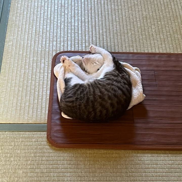 2ce503a4 28cd 424a b061 5bd931fadcca 1770512730198