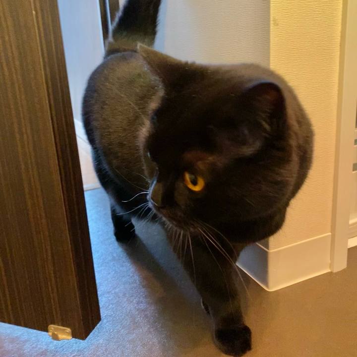 2ce52ca7 3af1 4cdd a71b 7ea957f04987 1615279270890